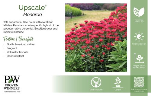 Monarda Upscale® 11x7" Series Benchcard