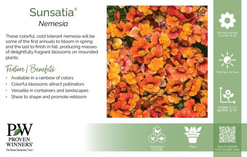 Nemesia Sunsatia® 11x7" Series Benchcard