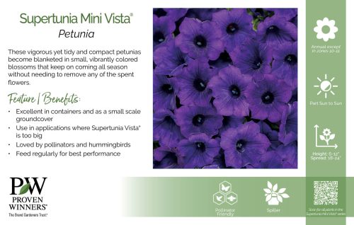 Petunia Supertunia Mini Vista® 11x7" Series Benchcard