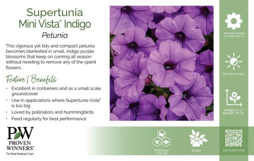 Petunia Supertunia Mini Vista® Indigo 11x7" Variety Benchcard