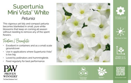 Petunia Supertunia Mini Vista® White 11x7" Variety Benchcard