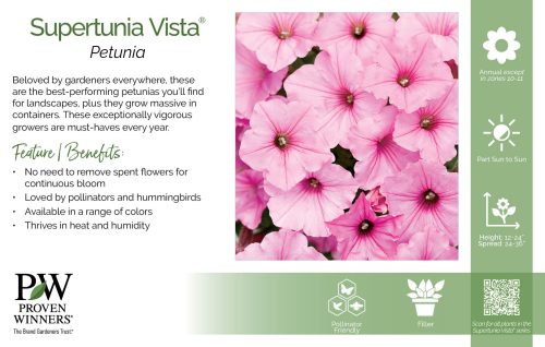 Petunia Supertunia Vista® 11x7" Series Benchcard