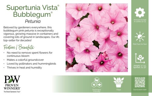 Petunia Supertunia Vista® Bubblegum® 11x7" Variety Benchcard