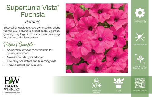 Petunia Supertunia Vista® Fuchsia 11x7" Variety Benchcard