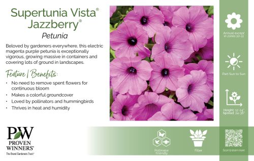 Petunia Supertunia Vista® Jazzberry® 11x7" Variety Benchcard