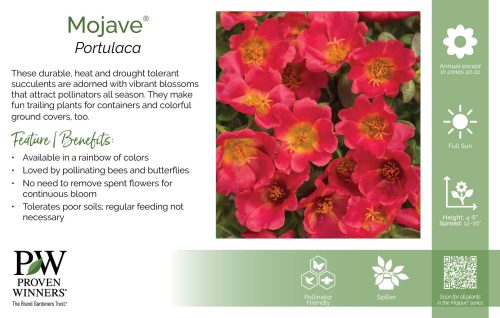 Portulaca Mojave® 11x7" Series Benchcard