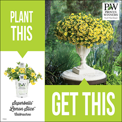 'Plant This - Get This' Signage