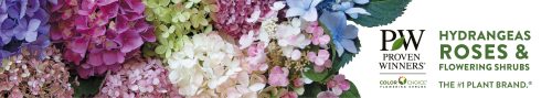 Hydrangeas, Roses & Flowering Shrubs Bench Tape - 4"x100' roll