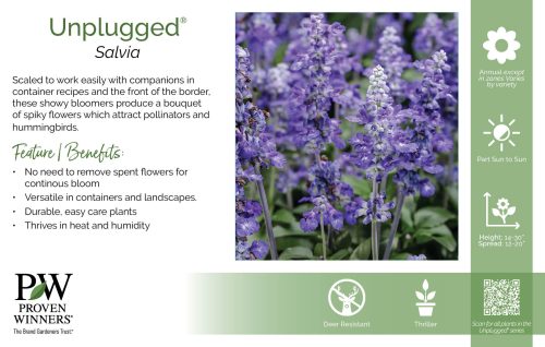 Salvia Unplugged® 11x7" Series Benchcard