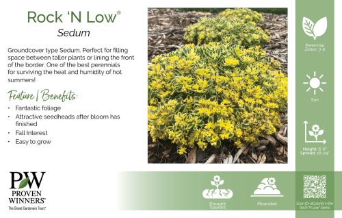 Sedum Rock 'N Low® 11x7" Series Benchcard