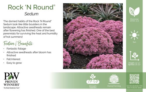 Sedum Rock 'N Round® 11x7" Series Benchcard