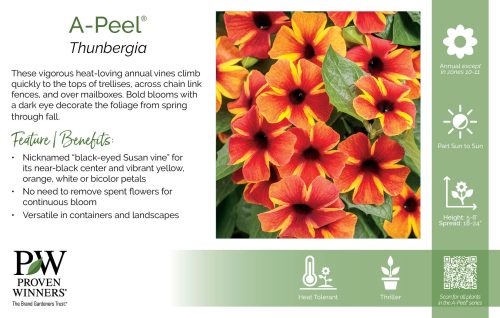 Thunbergia A-Peel® 11x7" Series Benchcard