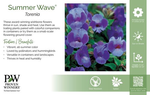 Torenia Summer Wave® 11x7" Series Benchcard