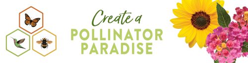 Create a Pollinator Paradise 48x12" Table Top Poster