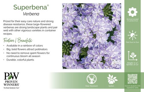 Verbena Superbena® 11x7" Series Benchcard