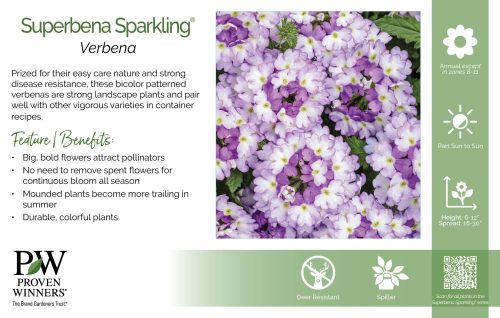 Verbena Superbena Sparkling® 11x7" Series Benchcard