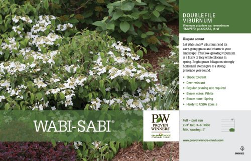 Viburnum Wabi-Sabi® (Doublefile Viburnum) 11x7" Variety Benchcard