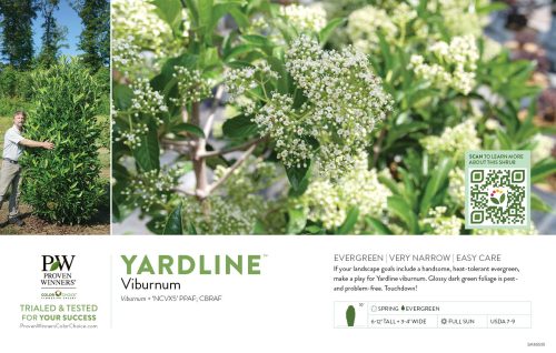 Viburnum Yardline™ 11x7" Variety Benchcard