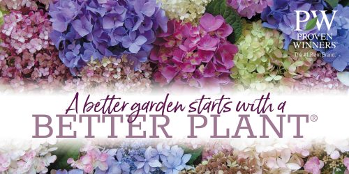 A Better Garden Starts with a Better Plant®' 5x2.5' Horizontal Hydrangea Banner - PURPLE