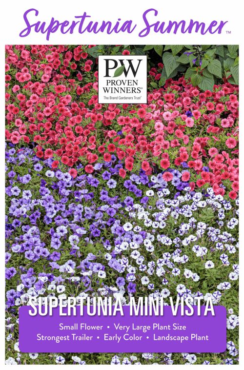 Supertunia Summer™ Supertunia Mini Vista® 23.75x36" Poster