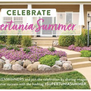 Supertunia Summer™