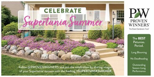 Supertunia Summer™ 5x2.5' Horizontal Banner