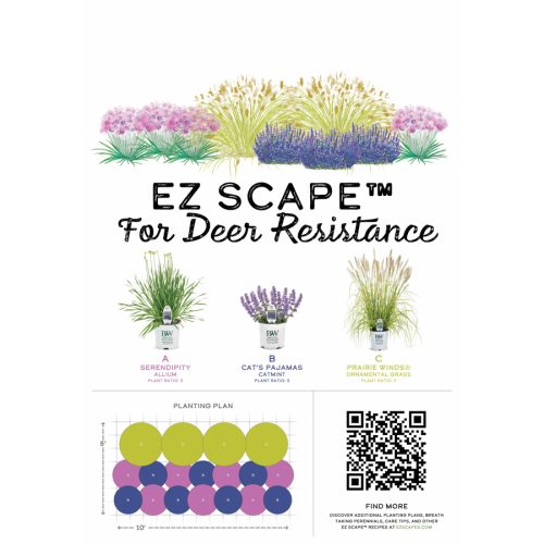 EZ Scapes™ Deer Resistant Sunscape 1 - Sketch 23.5x34" Poster