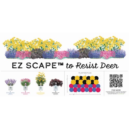 EZ Scapes™ Deer Resistant Sunscape 2 5x2.5' Banner