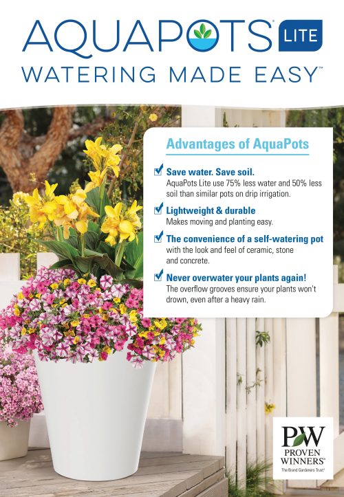 AquaPots® Lite 23.5x34" Poster