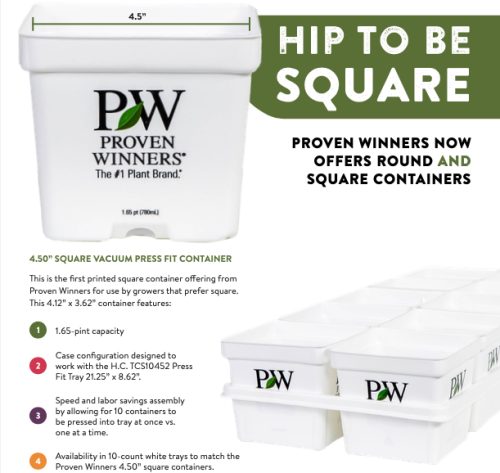 New Proven Winners® 4.5" Square Container & Tray Sample