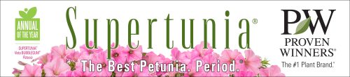 Petunia Supertunia Vista® Bubblegum® Annual of the Year Bench Tape - 4"x50' roll